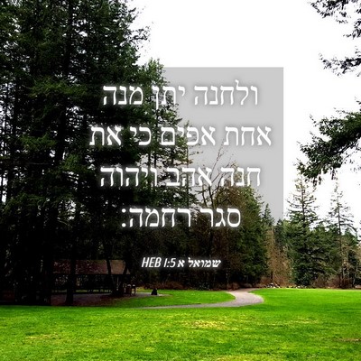Picture 04 - שמואל א 1:5 HEB - ולחנה יתן מנה אחת אפים כי - Bible Verse Picture