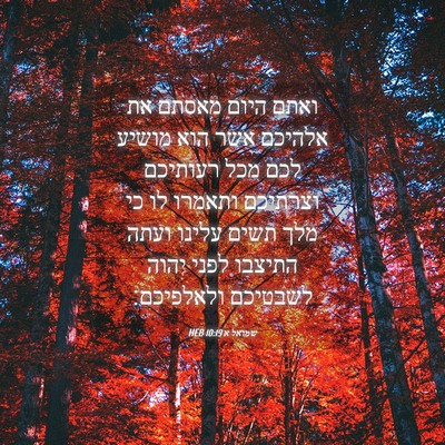 Picture 04 - שמואל א 10:19 HEB - ואתם היום מאסתם את אלהיכם - Bible Verse Picture