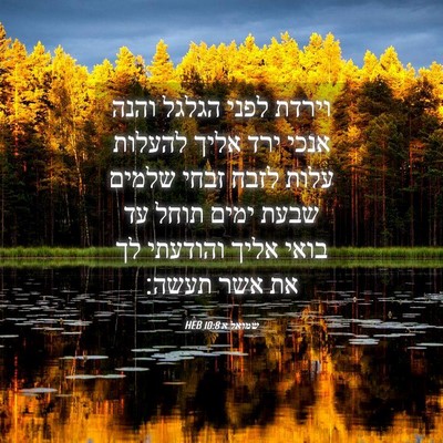 Picture 04 - שמואל א 10:8 HEB - וירדת לפני הגלגל והנה אנכי - Bible Verse Picture