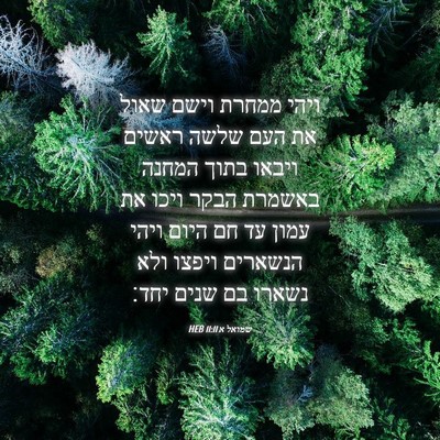 Picture 04 - שמואל א 11:11 HEB - ויהי ממחרת וישם שאול את העם - Bible Verse Picture