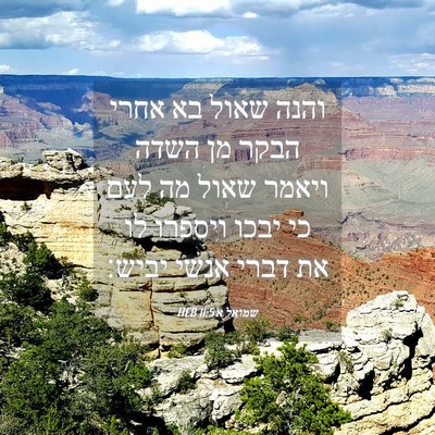 Picture 04 - שמואל א 11:5 HEB - והנה שאול בא אחרי הבקר מן - Bible Verse Picture