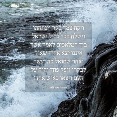 Picture 04 - שמואל א 11:7 HEB - ויקח צמד בקר וינתחהו וישלח - Bible Verse Picture