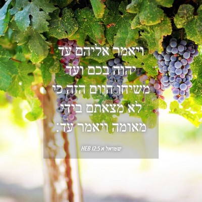Picture 04 - שמואל א 12:5 HEB - ויאמר אליהם עד יהוה בכם ועד - Bible Verse Picture