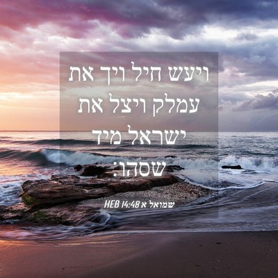 Picture 04 - שמואל א 14:48 HEB - ויעש חיל ויך את עמלק ויצל - Bible Verse Picture