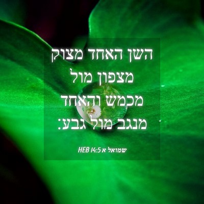 Picture 04 - שמואל א 14:5 HEB - השן האחד מצוק מצפון מול - Bible Verse Picture