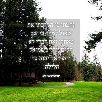 Picture 04 - שמואל א 15:11 HEB - נחמתי כי המלכתי את שאול - Bible Verse Picture