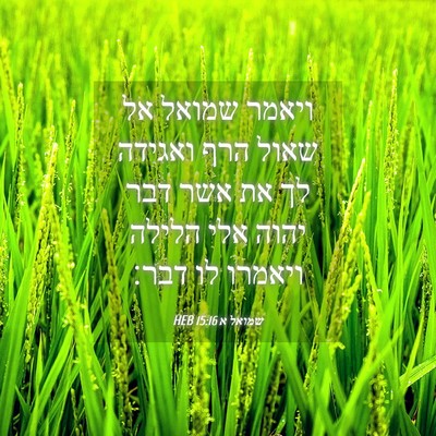 Picture 04 - שמואל א 15:16 HEB - ויאמר שמואל אל שאול הרף - Bible Verse Picture