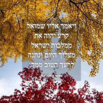 Picture 04 - שמואל א 15:28 HEB - ויאמר אליו שמואל קרע יהוה - Bible Verse Picture