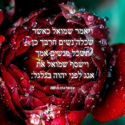 Picture 04 - שמואל א 15:33 HEB - ויאמר שמואל כאשר שכלה נשים - Bible Verse Picture