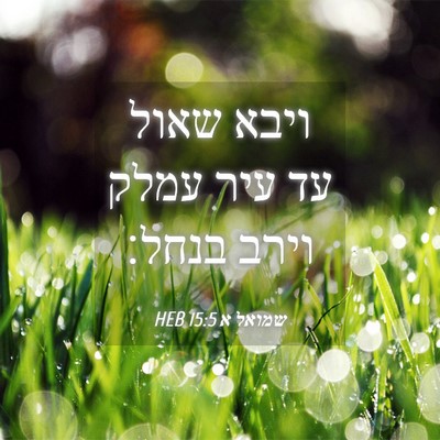 Picture 04 - שמואל א 15:5 HEB - ויבא שאול עד עיר עמלק וירב - Bible Verse Picture