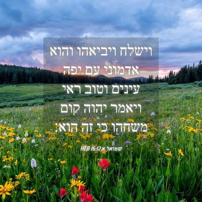 Picture 04 - שמואל א 16:12 HEB - וישלח ויביאהו והוא אדמוני - Bible Verse Picture
