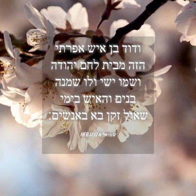 Picture 04 - שמואל א 17:12 HEB - ודוד בן איש אפרתי הזה מבית - Bible Verse Picture