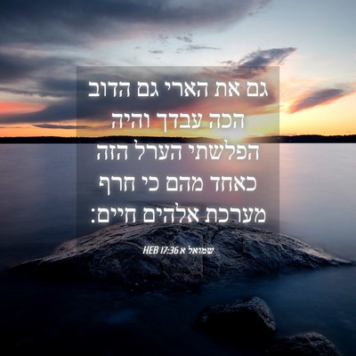 Picture 04 - שמואל א 17:36 HEB - גם את הארי גם הדוב הכה עבדך - Bible Verse Picture