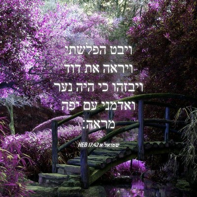 Picture 04 - שמואל א 17:42 HEB - ויבט הפלשתי ויראה את דוד - Bible Verse Picture