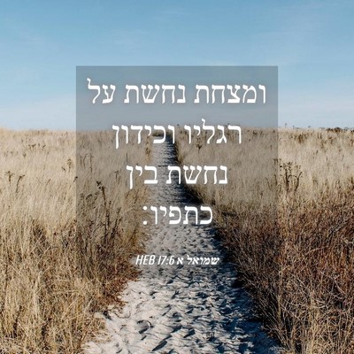 Picture 04 - שמואל א 17:6 HEB - ומצחת נחשת על רגליו וכידון - Bible Verse Picture