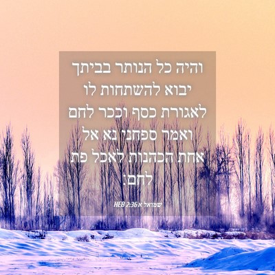 Picture 04 - שמואל א 2:36 HEB - והיה כל הנותר בביתך יבוא - Bible Verse Picture