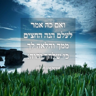 Picture 04 - שמואל א 20:22 HEB - ואם כה אמר לעלם הנה החצים - Bible Verse Picture