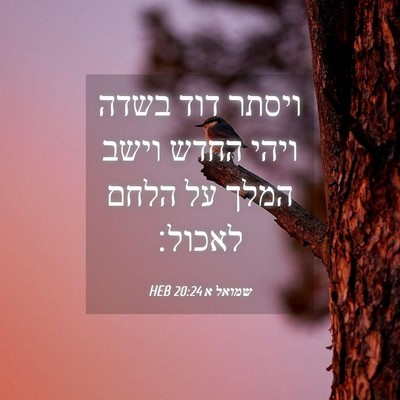 Picture 04 - שמואל א 20:24 HEB - ויסתר דוד בשדה ויהי החדש - Bible Verse Picture