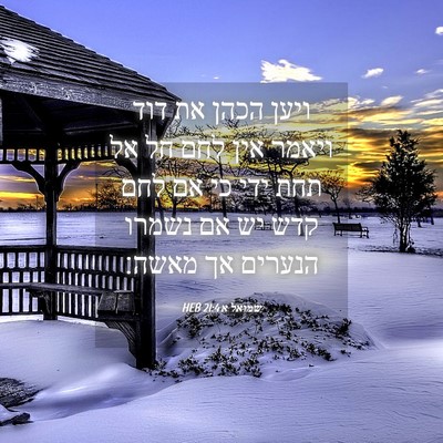 Picture 04 - שמואל א 21:4 HEB - ויען הכהן את דוד ויאמר אין - Bible Verse Picture