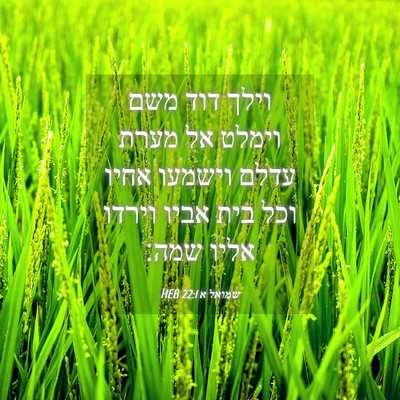 Picture 04 - שמואל א 22:1 HEB - וילך דוד משם וימלט אל מערת - Bible Verse Picture