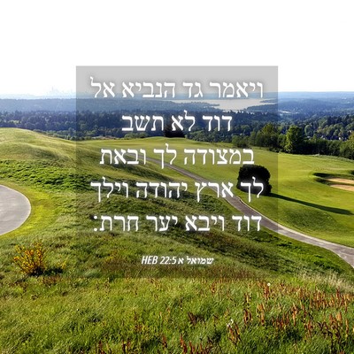 Picture 04 - שמואל א 22:5 HEB - ויאמר גד הנביא אל דוד לא - Bible Verse Picture