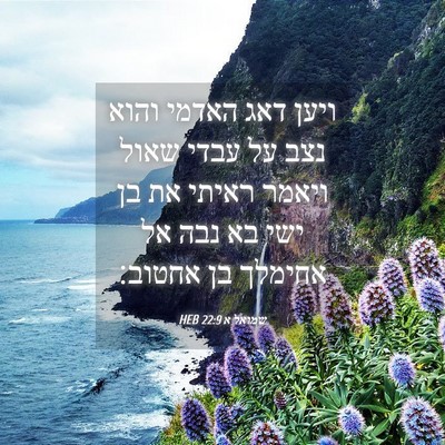Picture 04 - שמואל א 22:9 HEB - ויען דאג האדמי והוא נצב על - Bible Verse Picture