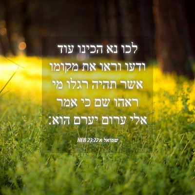 Picture 04 - שמואל א 23:22 HEB - לכו נא הכינו עוד ודעו וראו - Bible Verse Picture