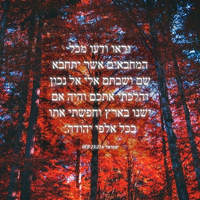Picture 04 - שמואל א 23:23 HEB - וראו ודעו מכל המחבאים אשר - Bible Verse Picture
