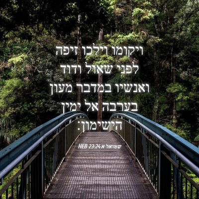 Picture 04 - שמואל א 23:24 HEB - ויקומו וילכו זיפה לפני - Bible Verse Picture
