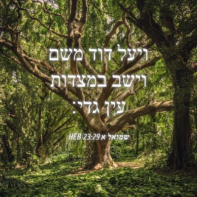 Picture 04 - שמואל א 23:29 HEB - ויעל דוד משם וישב במצדות - Bible Verse Picture