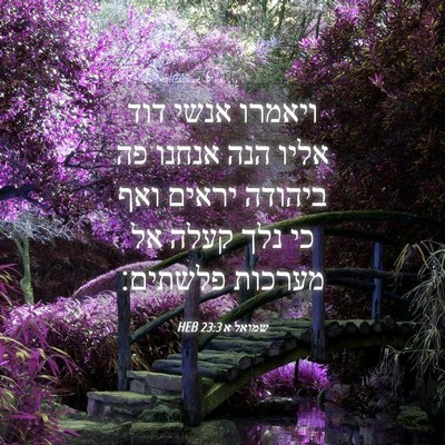 Picture 04 - שמואל א 23:3 HEB - ויאמרו אנשי דוד אליו הנה - Bible Verse Picture