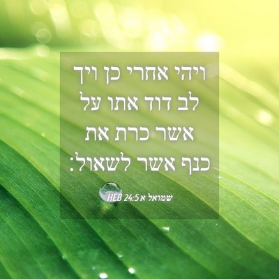 Picture 04 - שמואל א 24:5 HEB - ויהי אחרי כן ויך לב דוד אתו - Bible Verse Picture