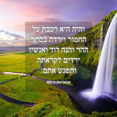 Picture 04 - שמואל א 25:20 HEB - והיה היא רכבת על החמור - Bible Verse Picture