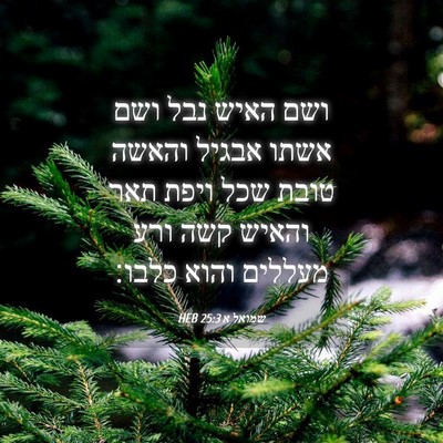 Picture 04 - שמואל א 25:3 HEB - ושם האיש נבל ושם אשתו אבגיל - Bible Verse Picture
