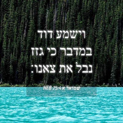 Picture 04 - שמואל א 25:4 HEB - וישמע דוד במדבר כי גזז נבל - Bible Verse Picture