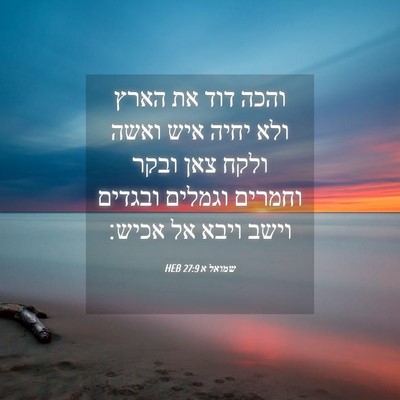 Picture 04 - שמואל א 27:9 HEB - והכה דוד את הארץ ולא יחיה - Bible Verse Picture