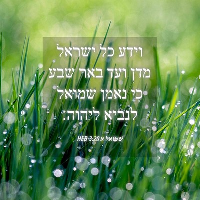 Picture 04 - שמואל א 3:20 HEB - וידע כל ישראל מדן ועד באר - Bible Verse Picture