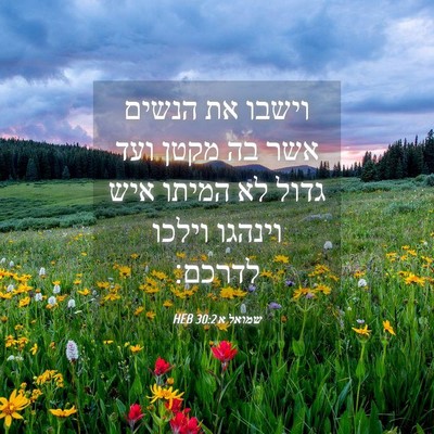 Picture 04 - שמואל א 30:2 HEB - וישבו את הנשים אשר בה מקטן - Bible Verse Picture