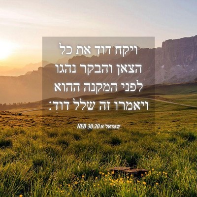 Picture 04 - שמואל א 30:20 HEB - ויקח דוד את כל הצאן והבקר - Bible Verse Picture