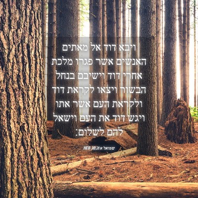 Picture 04 - שמואל א 30:21 HEB - ויבא דוד אל מאתים האנשים - Bible Verse Picture