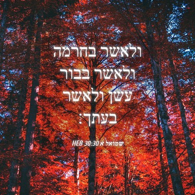 Picture 04 - שמואל א 30:30 HEB - ולאשר בחרמה ולאשר בבור עשן - Bible Verse Picture
