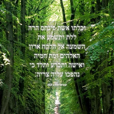 Picture 04 - שמואל א 4:19 HEB - וכלתו אשת פינחס הרה ללת - Bible Verse Picture