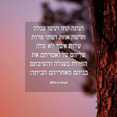 Picture 04 - שמואל א 6:7 HEB - ועתה קחו ועשו עגלה חדשה אחת - Bible Verse Picture