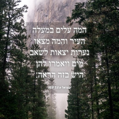 Picture 04 - שמואל א 9:11 HEB - המה עלים במעלה העיר והמה - Bible Verse Picture