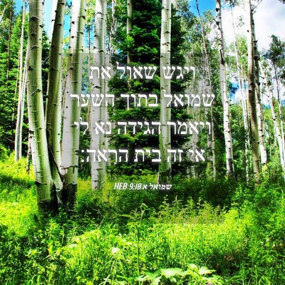 Picture 04 - שמואל א 9:18 HEB - ויגש שאול את שמואל בתוך - Bible Verse Picture