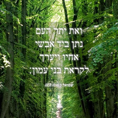 Picture 04 - שמואל ב 10:10 HEB - ואת יתר העם נתן ביד אבשי - Bible Verse Picture