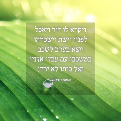 Picture 04 - שמואל ב 11:13 HEB - ויקרא לו דוד ויאכל לפניו - Bible Verse Picture