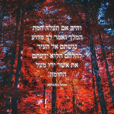 Picture 04 - שמואל ב 11:20 HEB - והיה אם תעלה חמת המלך ואמר - Bible Verse Picture