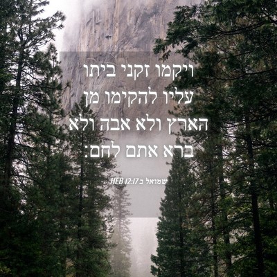 Picture 04 - שמואל ב 12:17 HEB - ויקמו זקני ביתו עליו - Bible Verse Picture