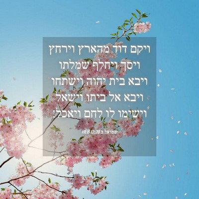 Picture 04 - שמואל ב 12:20 HEB - ויקם דוד מהארץ וירחץ ויסך - Bible Verse Picture